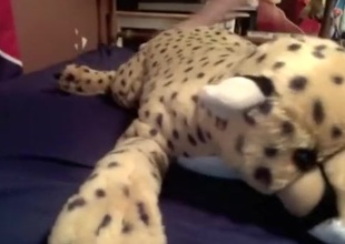 Mr.Cheetah (Plushophilia!)